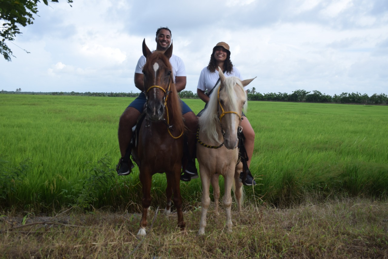 Punta Cana horse backride 