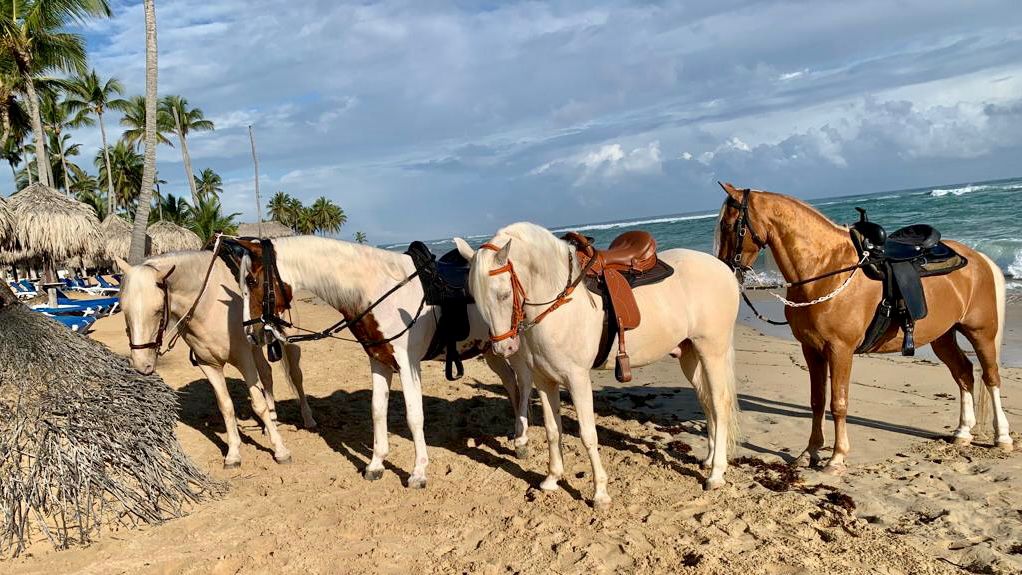 Punta Cana horse backride 