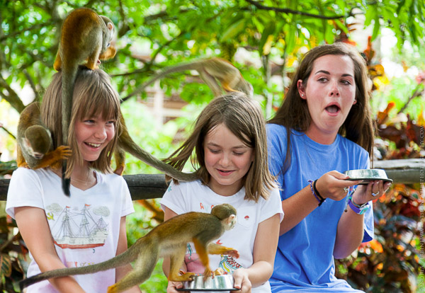 Monkeyland  with Jungle Boogie 